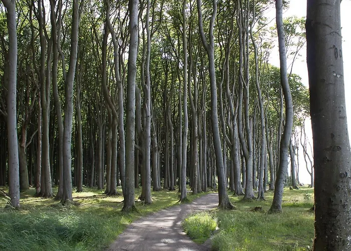 Apartment Eleonore 3 *